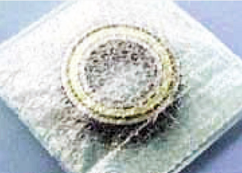VCI Film Bubble Laminates